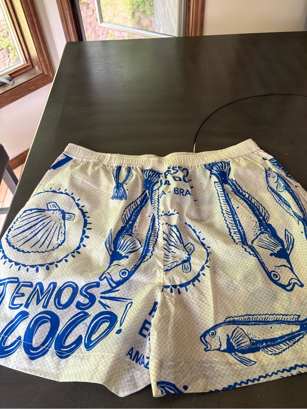 Farm Rio and Anthropologie Cotton Shorts size XL - Picture 5 of 7